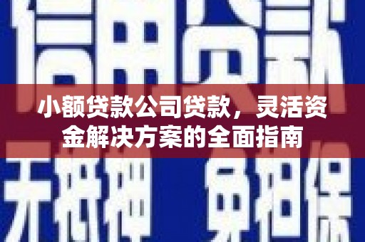 建宁小额贷款公司贷款，灵活资金解决方案的全面指南
