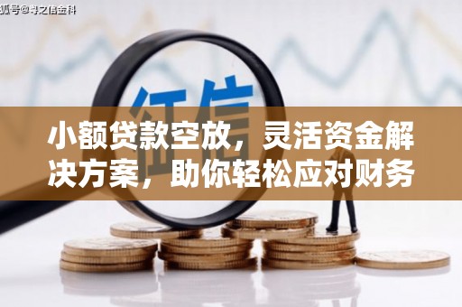 大足小额贷款空放，灵活资金解决方案，助你轻松应对财务挑战