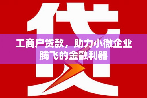 台江工商户贷款，助力小微企业腾飞的金融利器