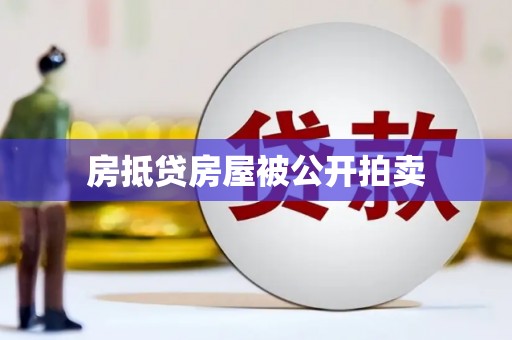 泸定房抵贷房屋被公开拍卖