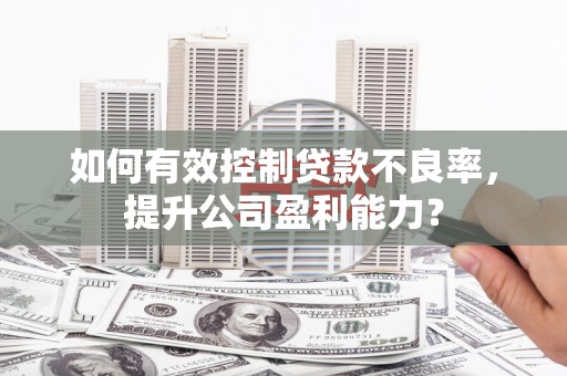 莺歌如何有效控制贷款不良率，提升公司盈利能力？
