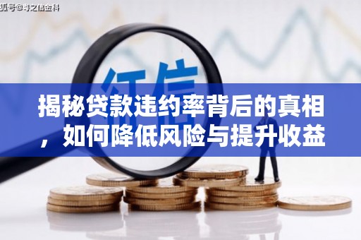 分宜揭秘贷款违约率背后的真相，如何降低风险与提升收益
