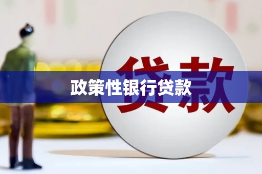 五寨政策性银行贷款