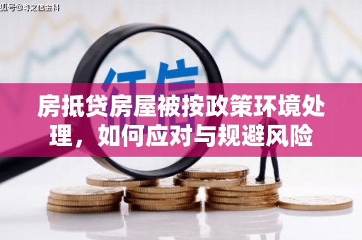 分宜房抵贷房屋被按政策环境处理，如何应对与规避风险