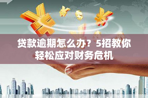 沈丘贷款逾期怎么办？5招教你轻松应对财务危机