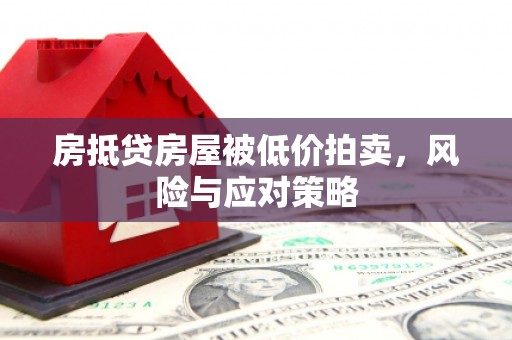 绿春房抵贷房屋被低价拍卖，风险与应对策略