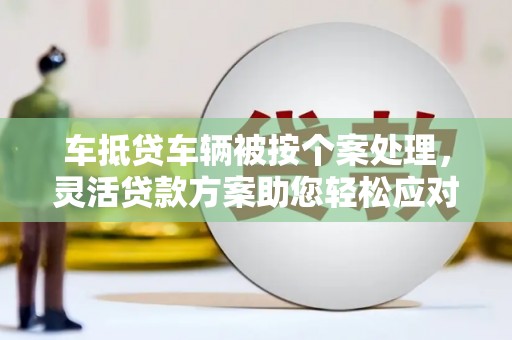 瑞安车抵贷车辆被按个案处理，灵活贷款方案助您轻松应对资金需求