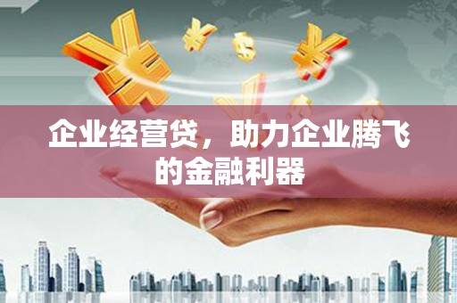 百色企业经营贷，助力企业腾飞的金融利器
