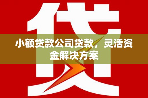 尖山小额贷款公司贷款，灵活资金解决方案