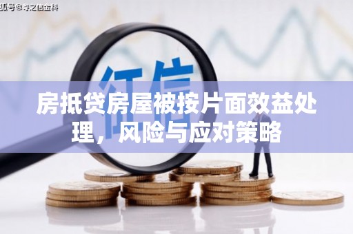 西峡房抵贷房屋被按片面效益处理，风险与应对策略