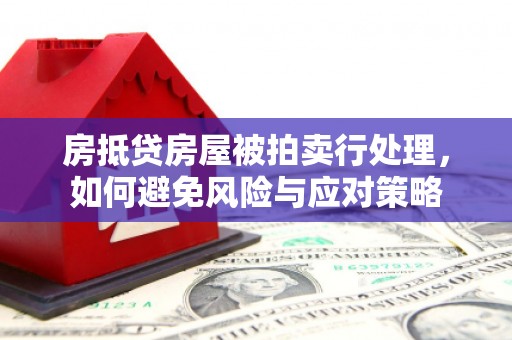 舒兰房抵贷房屋被拍卖行处理，如何避免风险与应对策略