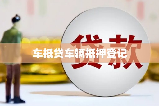 达仁车抵贷车辆抵押登记