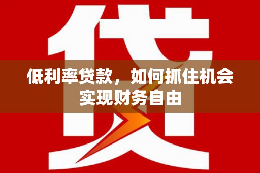 延寿低利率贷款，如何抓住机会实现财务自由