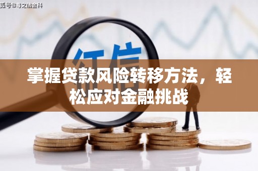 巴州掌握贷款风险转移方法，轻松应对金融挑战