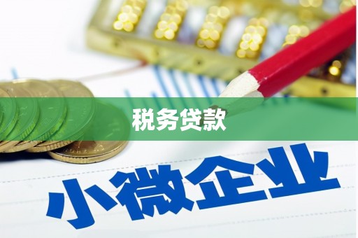 冠县税务贷款