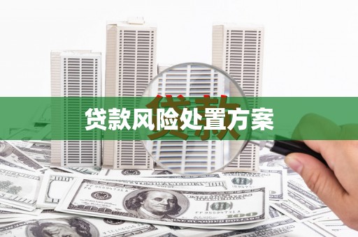 商水贷款风险处置方案