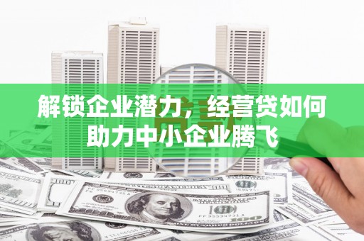 桐柏解锁企业潜力，经营贷如何助力中小企业腾飞