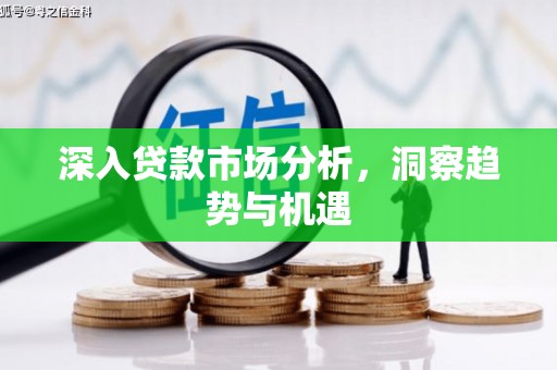 桐柏深入贷款市场分析，洞察趋势与机遇