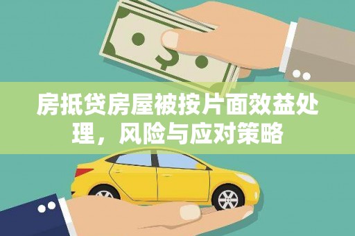 桐柏房抵贷房屋被按片面效益处理，风险与应对策略