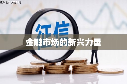 南投市金融市场的新兴力量