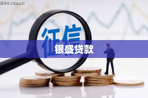 朝天银盛贷款