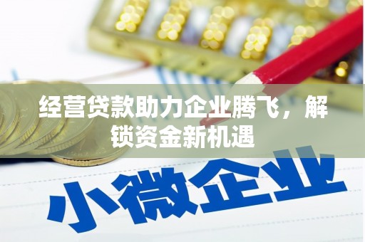 勉县经营贷款助力企业腾飞，解锁资金新机遇