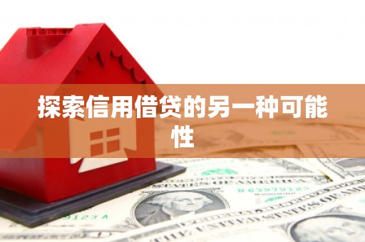 龙崎探索信用借贷的另一种可能性