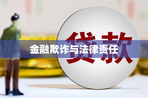 板芙金融欺诈与法律责任