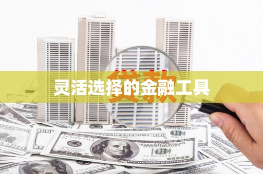 蒲城灵活选择的金融工具