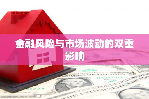 金乡金融风险与市场波动的双重影响