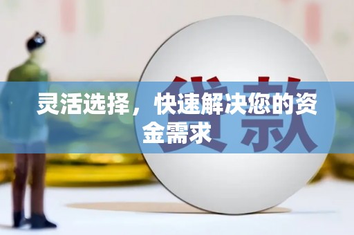 宁远灵活选择，快速解决您的资金需求