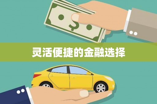 徽县灵活便捷的金融选择