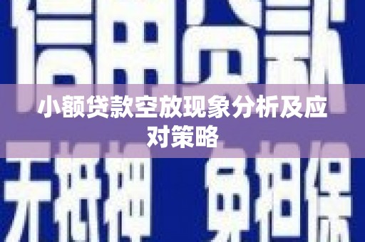 城口小额贷款空放现象分析及应对策略