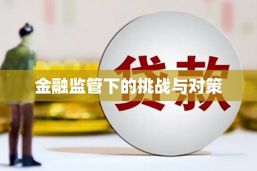 嘉善金融监管下的挑战与对策