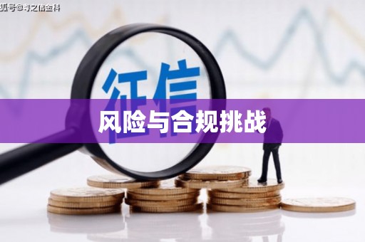 嘉善风险与合规挑战