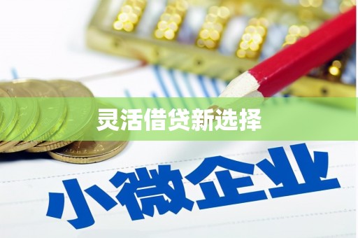 道孚灵活借贷新选择