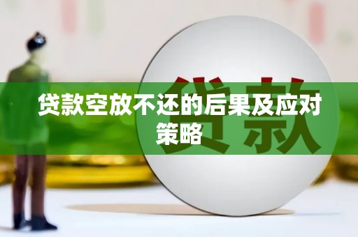 法库贷款空放不还的后果及应对策略