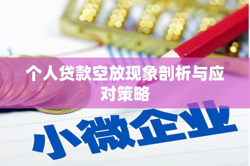 太麻里个人贷款空放现象剖析与应对策略