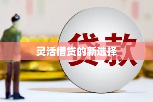 光明新区灵活借贷的新选择