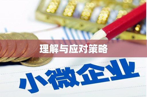 北湖理解与应对策略