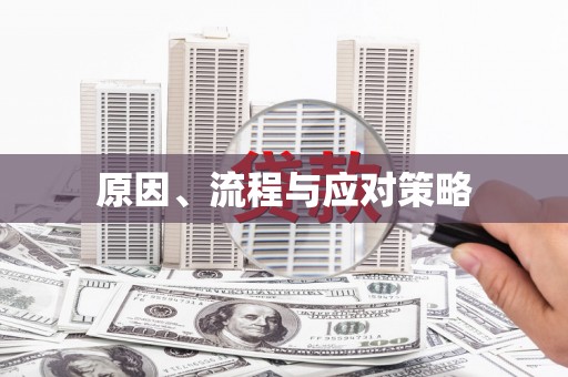 漳州原因、流程与应对策略