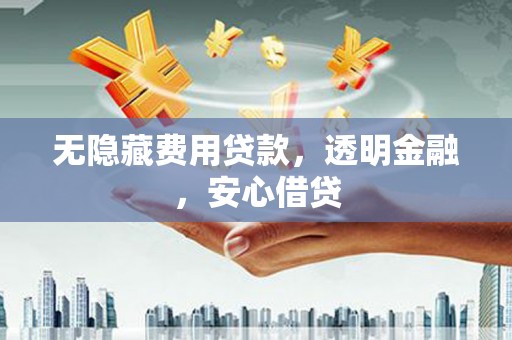 新林无隐藏费用贷款，透明金融，安心借贷