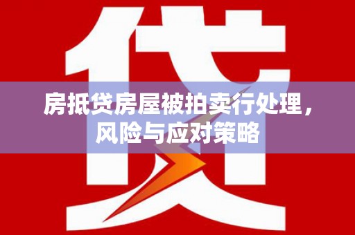彝良房抵贷房屋被拍卖行处理，风险与应对策略