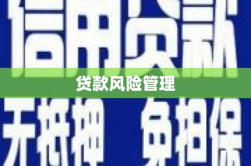 洪湖贷款风险管理