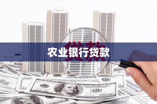 洪湖农业银行贷款