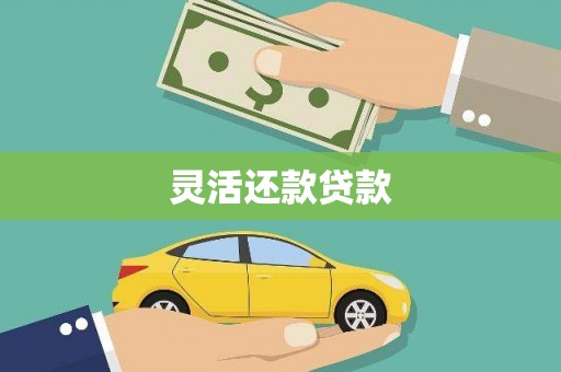 龙凤灵活还款贷款
