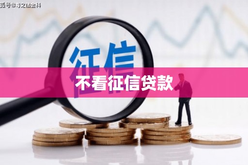 西城不看征信贷款